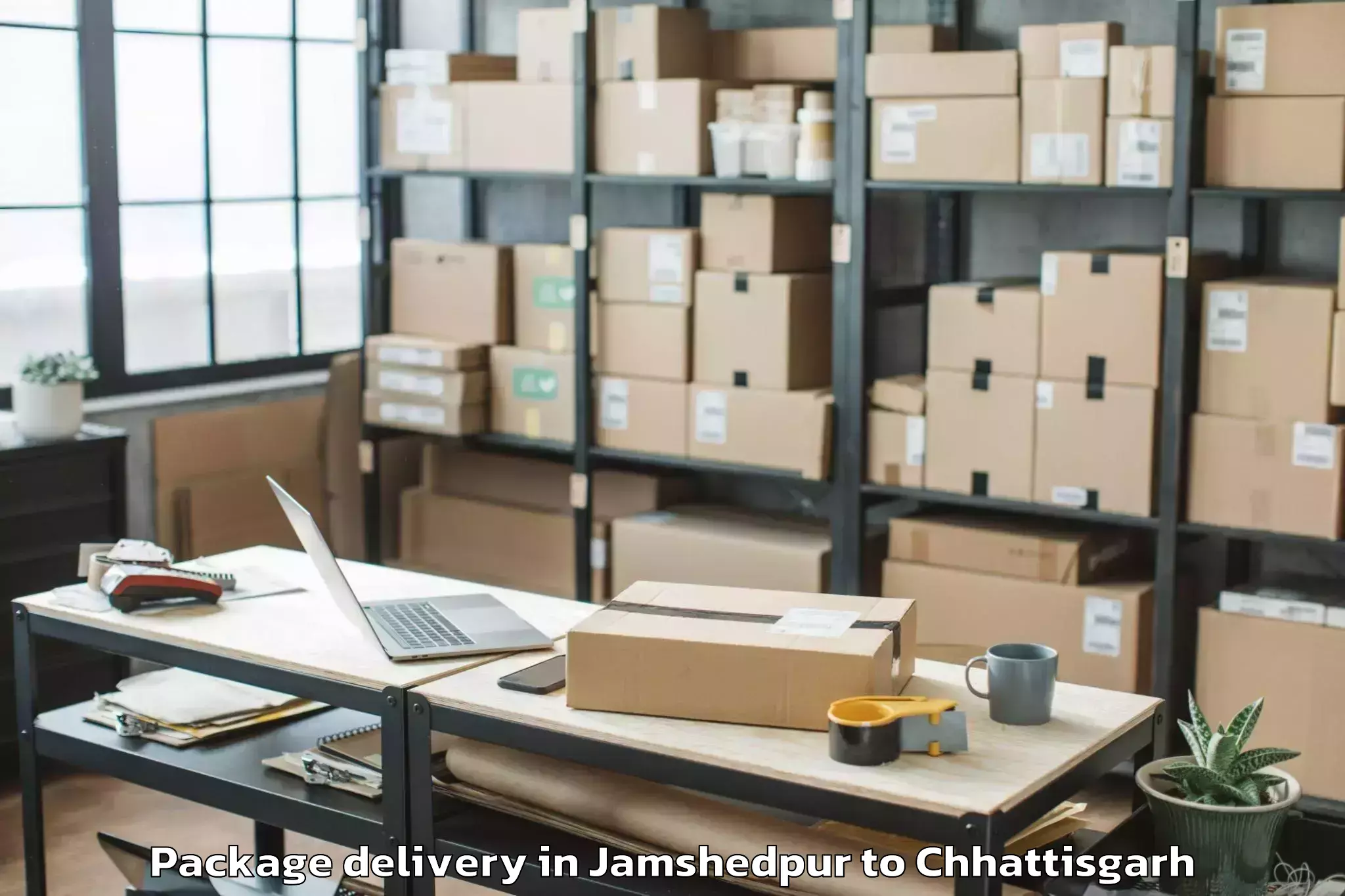 Professional Jamshedpur to Op Jindal University Raigarh Package Delivery